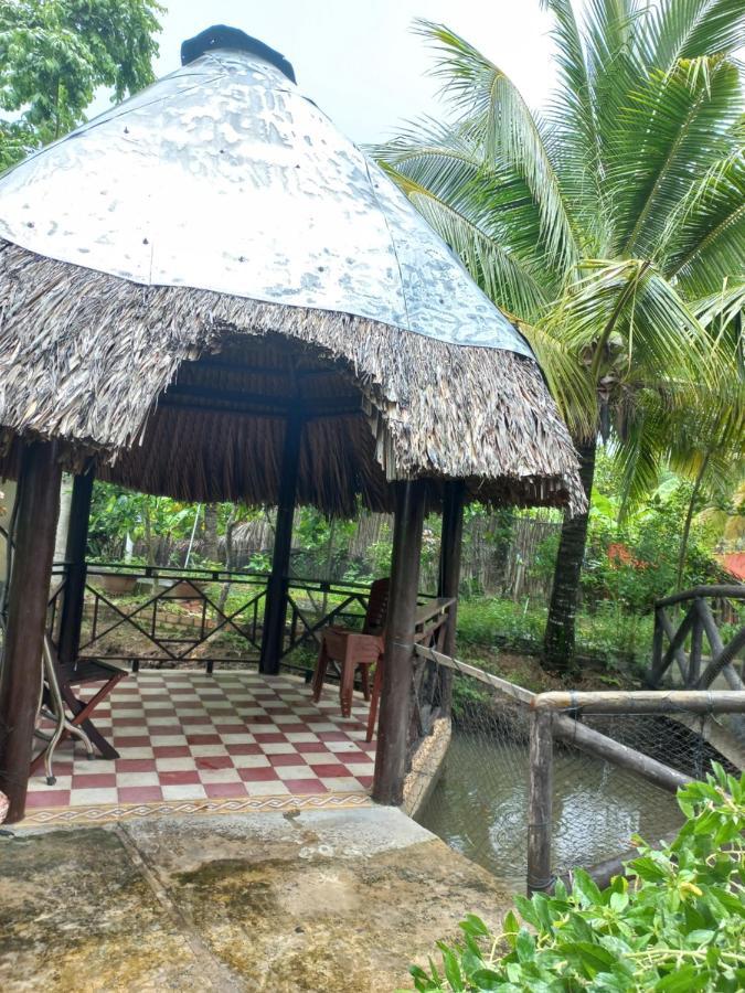 Ngoc Phuong Homestay Виньлонг Экстерьер фото